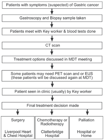Pathophysiology Of Stomach Cancer In Flow Chart